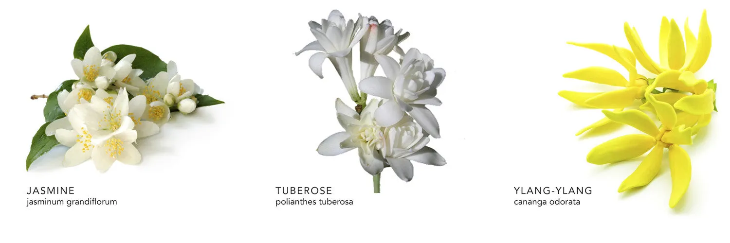 Jasmine Tuberose Hand & Body Wash