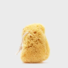 Natural Sea Sponge